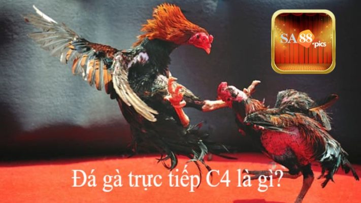 Hiểu về đá gà C4